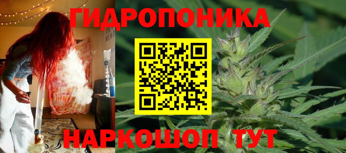 Шишки марихуана LSD WEED  Шишки марихуана сатива  Вход с VPN  Осинники 